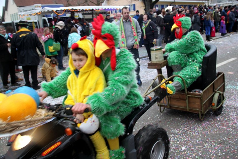 Sarmenstorf Fasnachtsumzug 16.02.2014 (228)